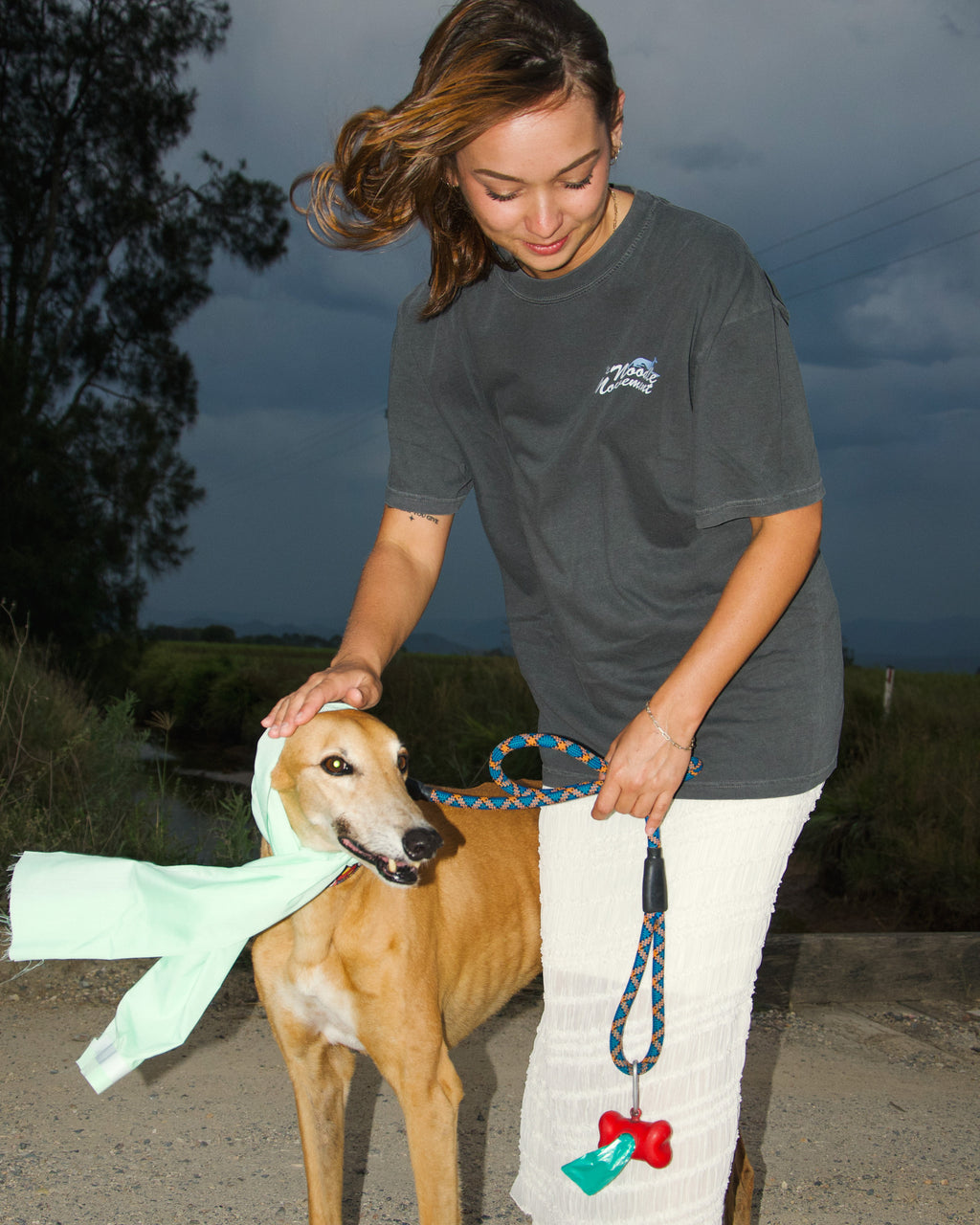 Handsome Hound tee - charcoal