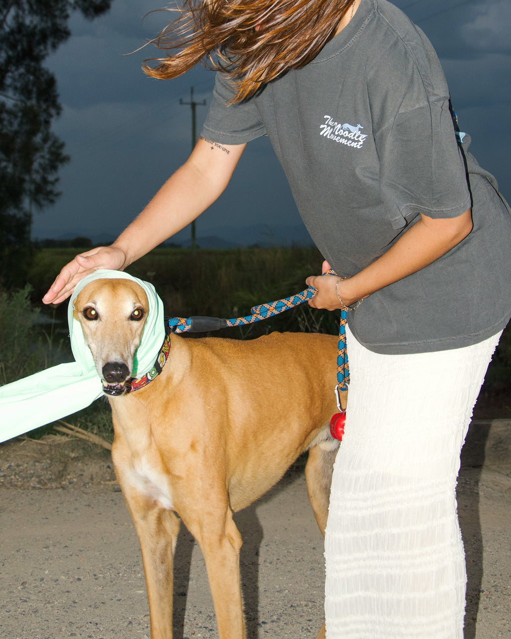 Handsome Hound tee - charcoal