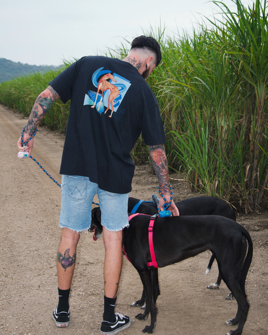 Handsome Hound tee - black