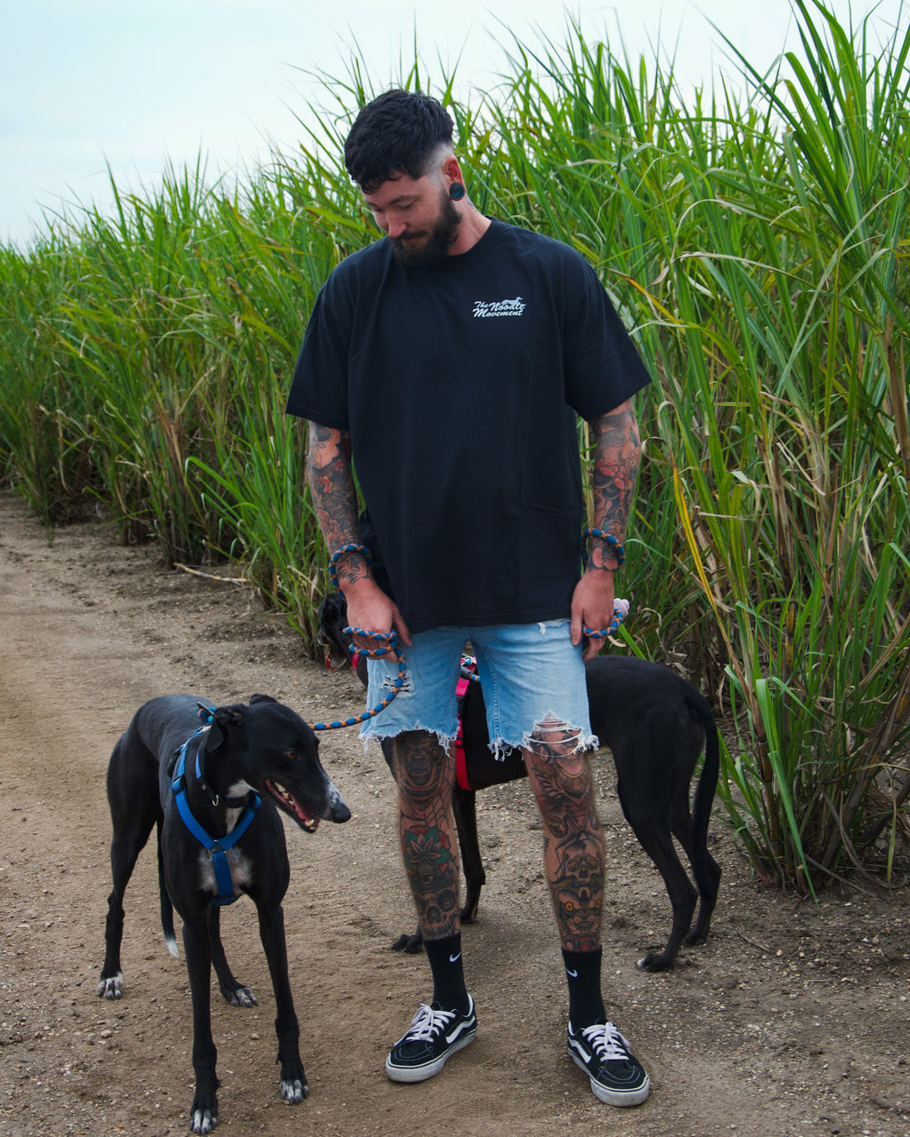 Handsome Hound tee - black