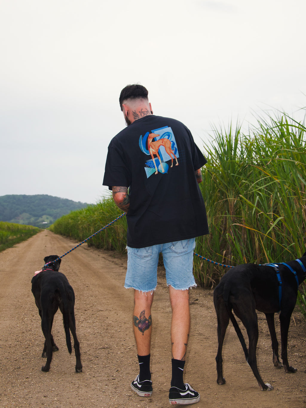 Handsome Hound tee - black