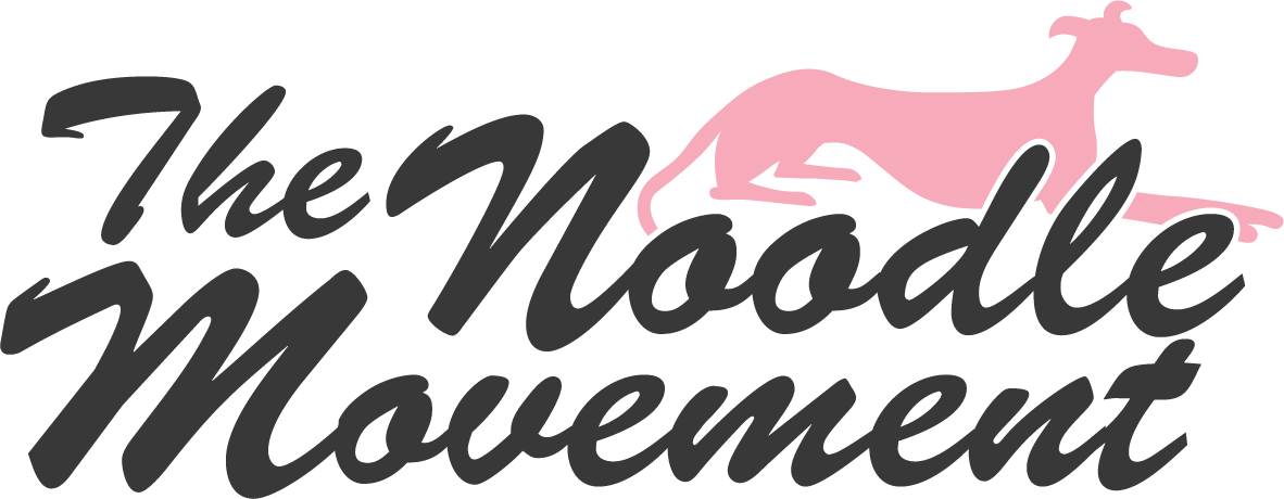 The Noodle Movement